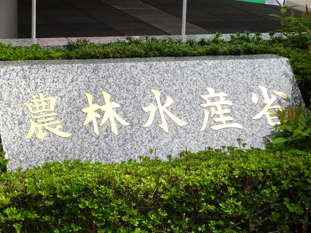 農水省、「みどりの品種育成方針」を策定