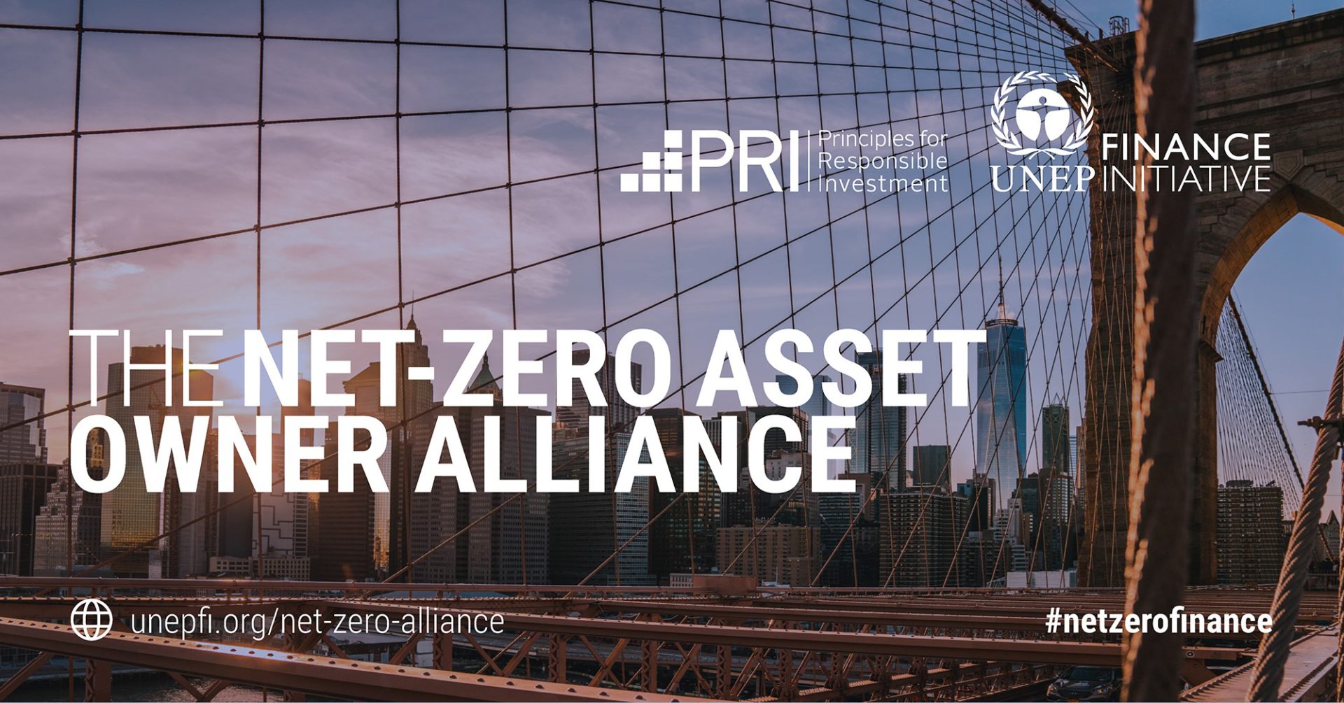 net zero