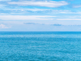 海