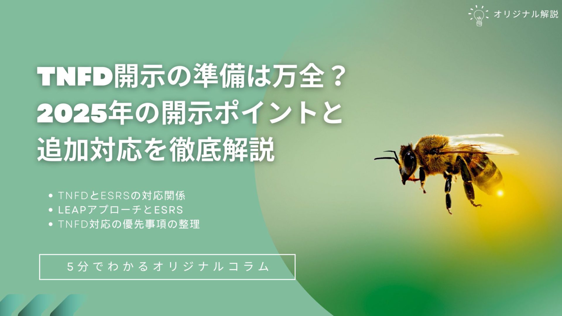 TNFD開示の準備は万全？2025年の開示ポイントと追加対応を徹底解説